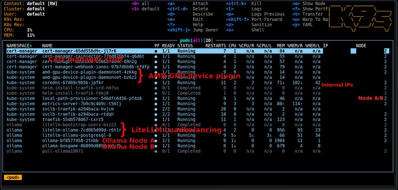 k9s terminal dashboard showing the Kubernetes cluster's running pods across both nodes